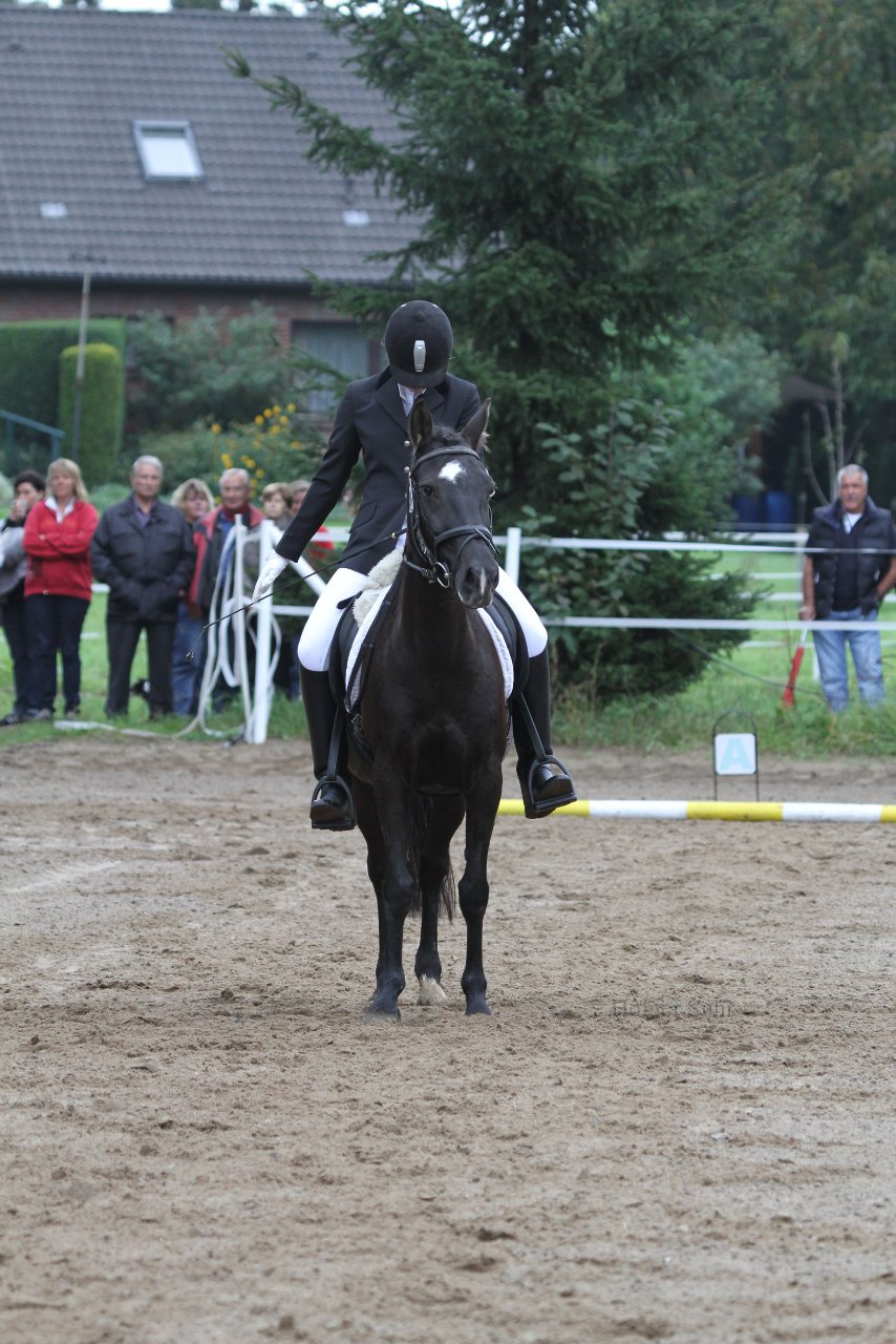 Bild 296 - WBO-Turnier am 18.9.11